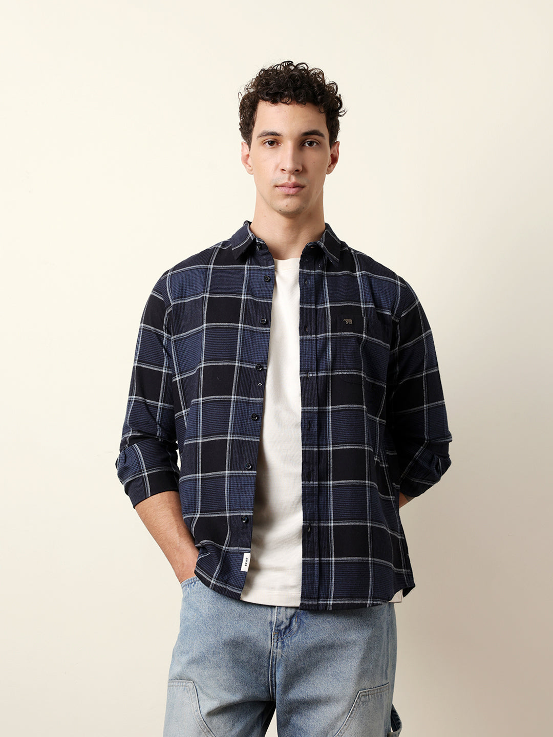 Blue Regular Fit Woven Check Flannel Casual Shirt